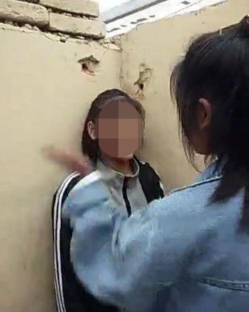 保定爆料女孩视频最新,真相与舆论的碰撞